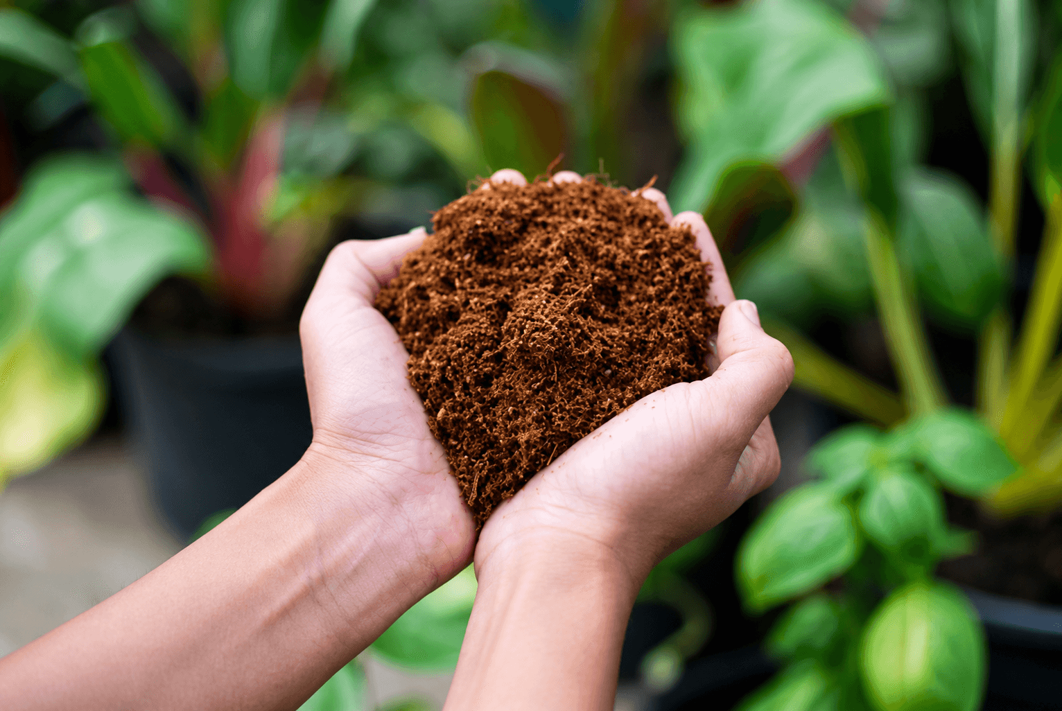 Coco peat and coir products displayed for export supply